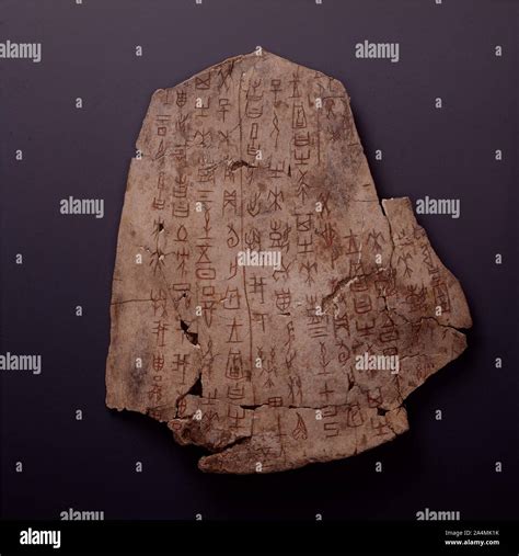 are there oracle bones in beijing china national museum